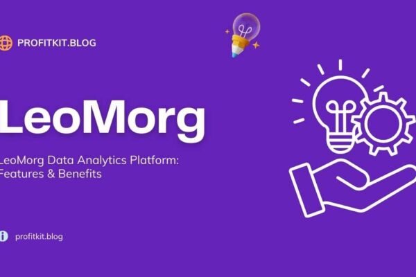 LeoMorg Data Analytics Platform dashboard showing advanced data visualization
