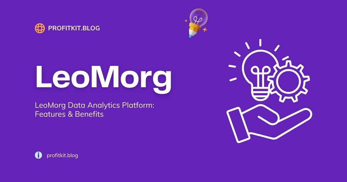 LeoMorg Data Analytics Platform dashboard showing advanced data visualization