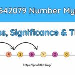 8093642079 number mystery and its significance in digital and cultural contexts.